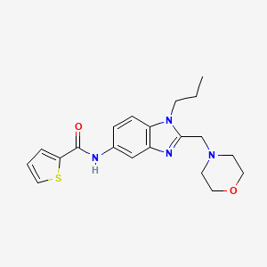 molecular formula C20H24N4O2S B4445294 N-{2-[(Morpholin-4-YL)methyl]-1-propyl-1H-1,3-benzodiazol-5-YL}thiophene-2-carboxamide 