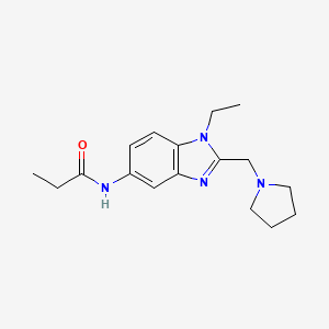 molecular formula C17H24N4O B4446326 N-{1-Ethyl-2-[(pyrrolidin-1-YL)methyl]-1H-1,3-benzodiazol-5-YL}propanamide 