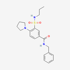 molecular formula C21H27N3O3S B4450479 N-benzyl-3-[(propylamino)sulfonyl]-4-(1-pyrrolidinyl)benzamide 