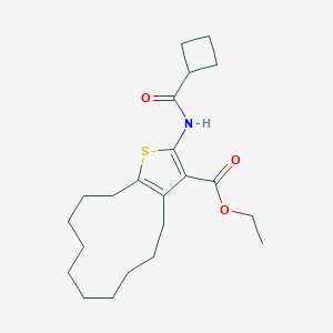 molecular formula C22H33NO3S B445274 Ethyl 2-[(cyclobutylcarbonyl)amino]-4,5,6,7,8,9,10,11,12,13-decahydrocyclododeca[b]thiophene-3-carboxylate 