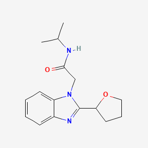molecular formula C16H21N3O2 B4453479 N-(propan-2-yl)-2-[2-(tetrahydrofuran-2-yl)-1H-benzimidazol-1-yl]acetamide 