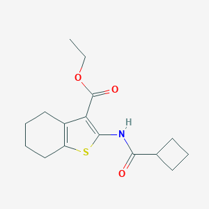 molecular formula C16H21NO3S B445837 Ethyl 2-[(cyclobutylcarbonyl)amino]-4,5,6,7-tetrahydro-1-benzothiophene-3-carboxylate 