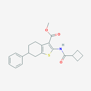 molecular formula C21H23NO3S B446148 Methyl 2-[(cyclobutylcarbonyl)amino]-6-phenyl-4,5,6,7-tetrahydro-1-benzothiophene-3-carboxylate 