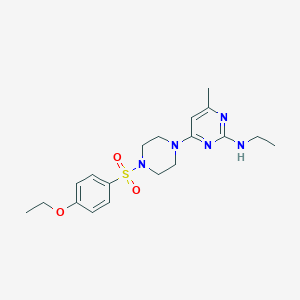 molecular formula C19H27N5O3S B4464019 4-[4-(4-Ethoxybenzenesulfonyl)piperazin-1-YL]-N-ethyl-6-methylpyrimidin-2-amine 