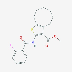molecular formula C19H20INO3S B446707 Methyl 2-[(2-iodobenzoyl)amino]-4,5,6,7,8,9-hexahydrocycloocta[b]thiophene-3-carboxylate 
