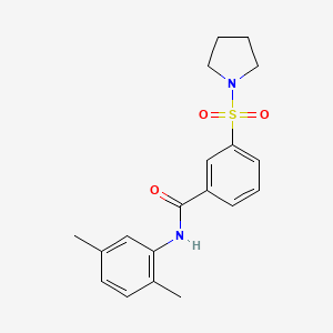 molecular formula C19H22N2O3S B4468275 N-(2,5-dimethylphenyl)-3-(1-pyrrolidinylsulfonyl)benzamide 