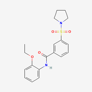 molecular formula C19H22N2O4S B4469627 N-(2-ethoxyphenyl)-3-(1-pyrrolidinylsulfonyl)benzamide 