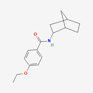 molecular formula C16H21NO2 B4470596 N-bicyclo[2.2.1]hept-2-yl-4-ethoxybenzamide 