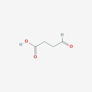 molecular formula C4H6O3 B044764 琥珀酸半醛 CAS No. 692-29-5