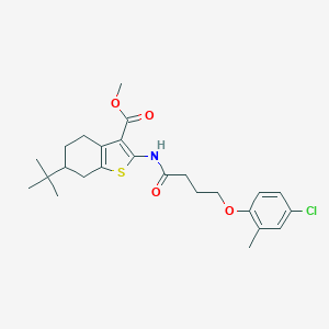 molecular formula C25H32ClNO4S B447966 Methyl 6-tert-butyl-2-{[4-(4-chloro-2-methylphenoxy)butanoyl]amino}-4,5,6,7-tetrahydro-1-benzothiophene-3-carboxylate 