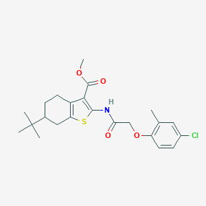 molecular formula C23H28ClNO4S B448004 Methyl 6-tert-butyl-2-{[(4-chloro-2-methylphenoxy)acetyl]amino}-4,5,6,7-tetrahydro-1-benzothiophene-3-carboxylate 
