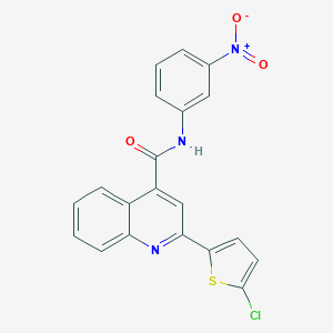 2-(5-chlorothiophen-2-yl)-N-(3-nitrophenyl)quinoline-4-carboxamide