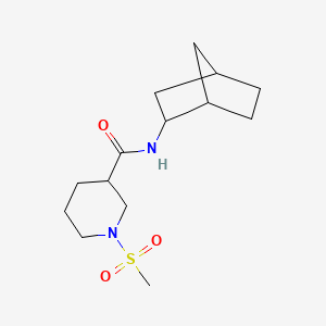 molecular formula C14H24N2O3S B4484861 N-bicyclo[2.2.1]hept-2-yl-1-(methylsulfonyl)-3-piperidinecarboxamide 