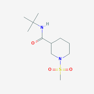 molecular formula C11H22N2O3S B4488939 N-TERT-BUTYL-1-METHANESULFONYLPIPERIDINE-3-CARBOXAMIDE 