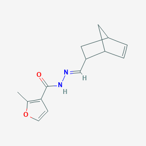 molecular formula C14H16N2O2 B449283 N'-(bicyclo[2.2.1]hept-5-en-2-ylmethylene)-2-methyl-3-furohydrazide 