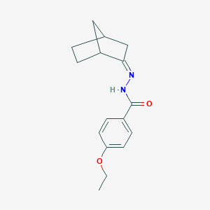 molecular formula C16H20N2O2 B449420 N'-bicyclo[2.2.1]hept-2-ylidene-4-ethoxybenzohydrazide 