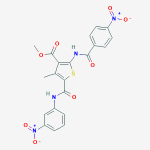 molecular formula C21H16N4O8S B449589 METHYL 4-METHYL-5-[(3-NITROANILINO)CARBONYL]-2-[(4-NITROBENZOYL)AMINO]-3-THIOPHENECARBOXYLATE 