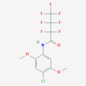 molecular formula C12H9ClF7NO3 B449765 N-(4-chloro-2,5-dimethoxyphenyl)-2,2,3,3,4,4,4-heptafluorobutanamide 