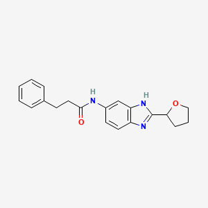 molecular formula C20H21N3O2 B4501289 3-phenyl-N-[2-(tetrahydrofuran-2-yl)-1H-benzimidazol-5-yl]propanamide 
