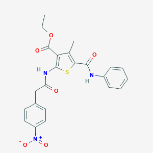 molecular formula C23H21N3O6S B450197 Ethyl 4-methyl-2-{[(4-nitrophenyl)acetyl]amino}-5-(phenylcarbamoyl)thiophene-3-carboxylate 