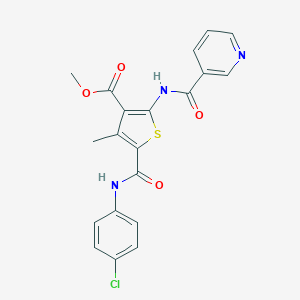 molecular formula C20H16ClN3O4S B450249 METHYL 5-[(4-CHLOROANILINO)CARBONYL]-4-METHYL-2-[(3-PYRIDYLCARBONYL)AMINO]-3-THIOPHENECARBOXYLATE 