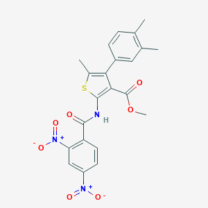 molecular formula C22H19N3O7S B450331 Methyl 2-({2,4-dinitrobenzoyl}amino)-4-(3,4-dimethylphenyl)-5-methyl-3-thiophenecarboxylate 