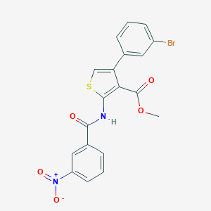 molecular formula C19H13BrN2O5S B450439 Methyl 4-(3-bromophenyl)-2-({3-nitrobenzoyl}amino)thiophene-3-carboxylate 