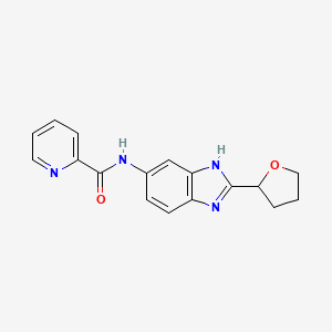 molecular formula C17H16N4O2 B4509655 N-[2-(tetrahydrofuran-2-yl)-1H-benzimidazol-5-yl]pyridine-2-carboxamide 
