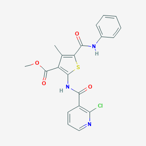 molecular formula C20H16ClN3O4S B450999 Methyl 5-(anilinocarbonyl)-2-{[(2-chloropyridin-3-yl)carbonyl]amino}-4-methylthiophene-3-carboxylate 