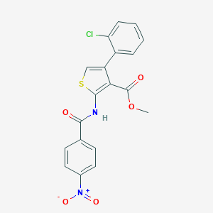 molecular formula C19H13ClN2O5S B451008 Methyl 4-(2-chlorophenyl)-2-({4-nitrobenzoyl}amino)thiophene-3-carboxylate 