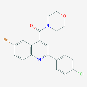 molecular formula C20H16BrClN2O2 B451490 6-BROMO-2-(4-CHLOROPHENYL)-4-(MORPHOLINE-4-CARBONYL)QUINOLINE 