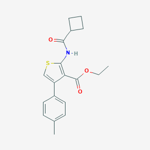 molecular formula C19H21NO3S B451582 ETHYL 2-CYCLOBUTANEAMIDO-4-(4-METHYLPHENYL)THIOPHENE-3-CARBOXYLATE 