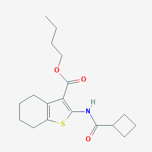 molecular formula C18H25NO3S B451607 Butyl 2-[(cyclobutylcarbonyl)amino]-4,5,6,7-tetrahydro-1-benzothiophene-3-carboxylate 