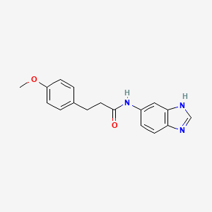 molecular formula C17H17N3O2 B4517287 N-(1H-benzimidazol-5-yl)-3-(4-methoxyphenyl)propanamide 
