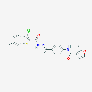 molecular formula C24H20ClN3O3S B451842 N-(4-{N-[(3-chloro-6-methyl-1-benzothien-2-yl)carbonyl]ethanehydrazonoyl}phenyl)-2-methyl-3-furamide 