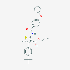 molecular formula C31H37NO4S B452638 propyl 4-(4-tert-butylphenyl)-2-{[4-(cyclopentyloxy)benzoyl]amino}-5-methyl-3-thiophenecarboxylate 
