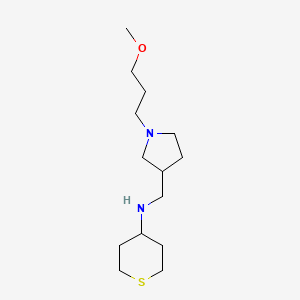 molecular formula C14H28N2OS B4529908 N-{[1-(3-methoxypropyl)pyrrolidin-3-yl]methyl}tetrahydro-2H-thiopyran-4-amine 