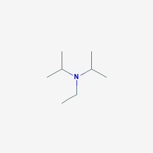 molecular formula C8H19N B045302 Diisopropylethylamine CAS No. 7087-68-5