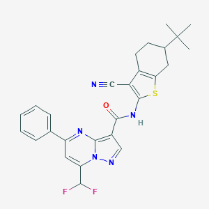 molecular formula C27H25F2N5OS B453270 N-(6-tert-butyl-3-cyano-4,5,6,7-tetrahydro-1-benzothiophen-2-yl)-7-(difluoromethyl)-5-phenylpyrazolo[1,5-a]pyrimidine-3-carboxamide 