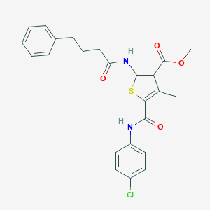molecular formula C24H23ClN2O4S B453413 Methyl 5-[(4-chloroanilino)carbonyl]-4-methyl-2-[(4-phenylbutanoyl)amino]thiophene-3-carboxylate 