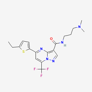 molecular formula C19H22F3N5OS B4538436 N~3~-[3-(DIMETHYLAMINO)PROPYL]-5-(5-ETHYL-2-THIENYL)-7-(TRIFLUOROMETHYL)PYRAZOLO[1,5-A]PYRIMIDINE-3-CARBOXAMIDE 