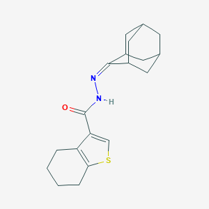 molecular formula C19H24N2OS B454029 N'-tricyclo[3.3.1.1~3,7~]dec-2-ylidene-4,5,6,7-tetrahydro-1-benzothiophene-3-carbohydrazide 