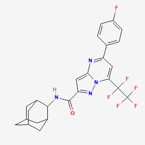 molecular formula C25H22F6N4O B4543312 N-(2-adamantyl)-5-(4-fluorophenyl)-7-(1,1,2,2,2-pentafluoroethyl)pyrazolo[1,5-a]pyrimidine-2-carboxamide 