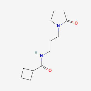 molecular formula C12H20N2O2 B4543779 N-[3-(2-oxopyrrolidin-1-yl)propyl]cyclobutanecarboxamide 