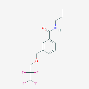 molecular formula C14H17F4NO2 B454599 N-propyl-3-[(2,2,3,3-tetrafluoropropoxy)methyl]benzamide 