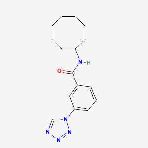 molecular formula C16H21N5O B4567446 N-cyclooctyl-3-(1H-tetrazol-1-yl)benzamide 