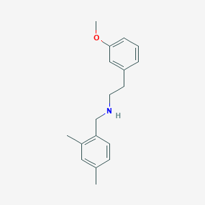 molecular formula C18H23NO B4574697 N-[(2,4-dimethylphenyl)methyl]-2-(3-methoxyphenyl)ethanamine CAS No. 355816-50-1