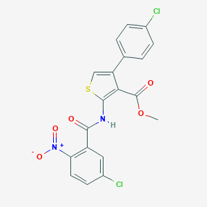 molecular formula C19H12Cl2N2O5S B457802 Methyl 2-({5-chloro-2-nitrobenzoyl}amino)-4-(4-chlorophenyl)-3-thiophenecarboxylate 