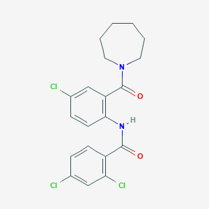 molecular formula C20H19Cl3N2O2 B4578646 N-[2-(azepan-1-ylcarbonyl)-4-chlorophenyl]-2,4-dichlorobenzamide 