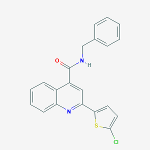 molecular formula C21H15ClN2OS B457934 N-benzyl-2-(5-chlorothiophen-2-yl)quinoline-4-carboxamide 